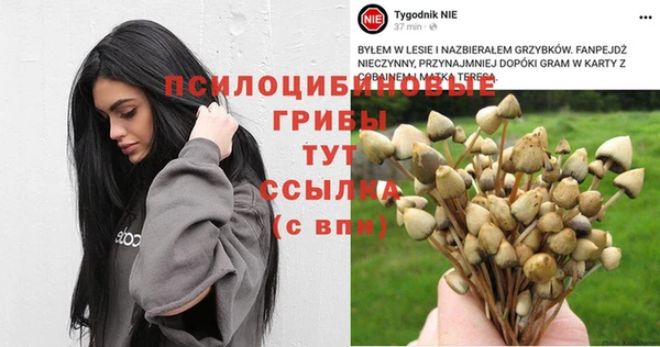 хмурый Богородск
