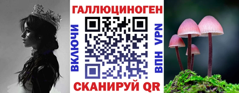 даркнет сайт  Берёзовский  Псилоцибиновые грибы Psilocybe 